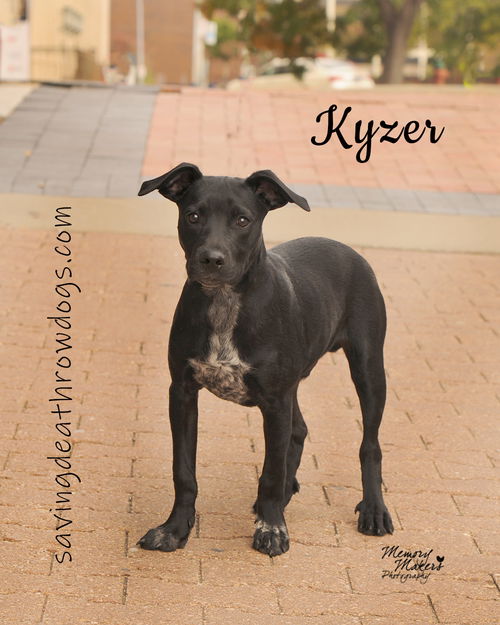 Kyzer
