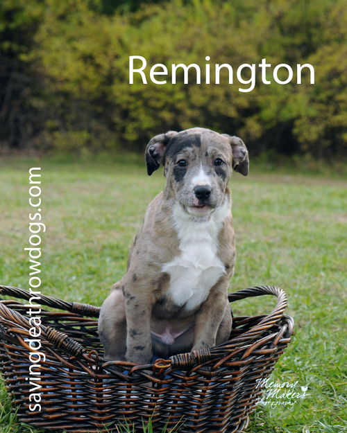 Remington