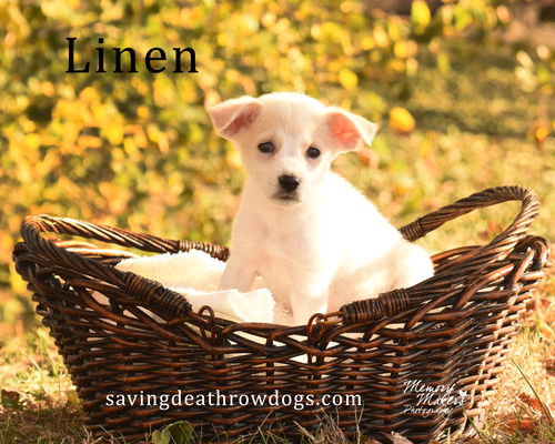 Linen