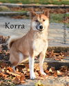 Korra