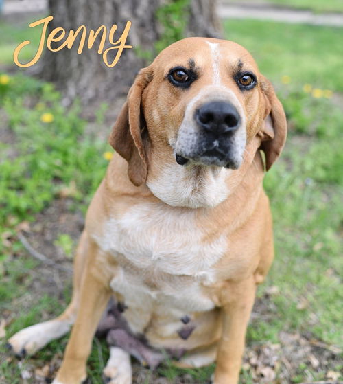 Jenny