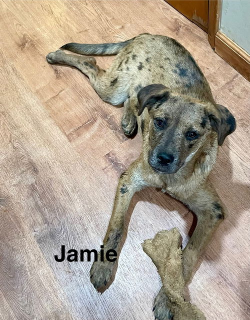 Jamie