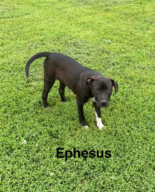 Ephesus