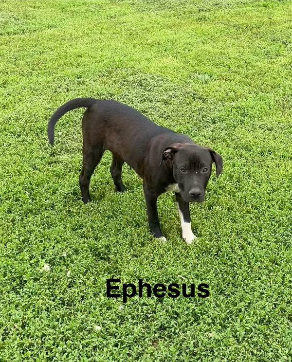 Ephesus