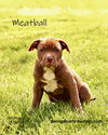 Meatball