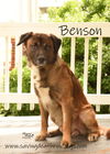 Benson