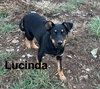 Lucinda - Photo 1