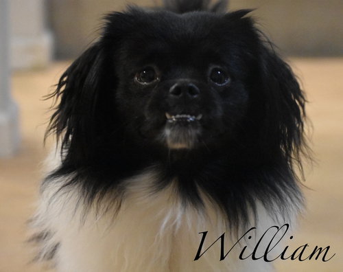 William