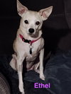 Ethel