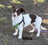 Mika