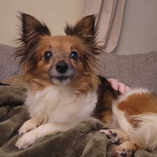 Tina