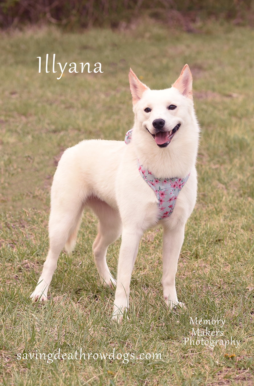 Illyana