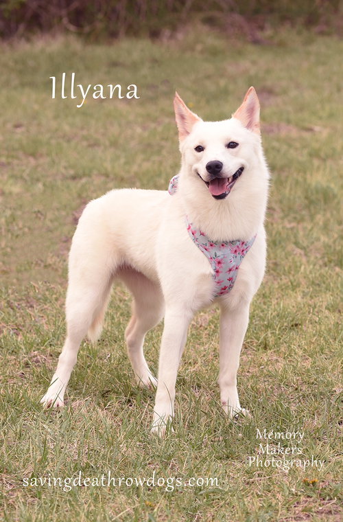 Illyana