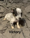 Victory