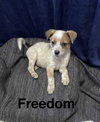 Freedom