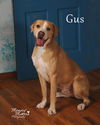 Gus