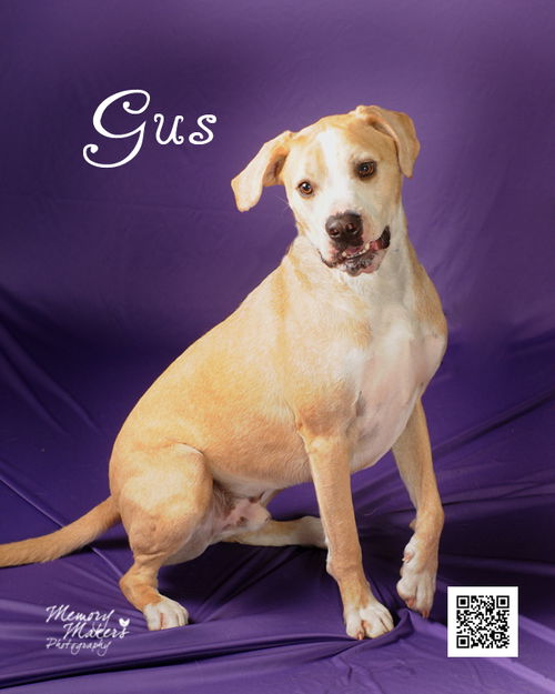 Gus