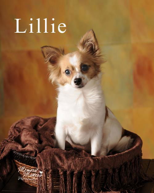 Lillie