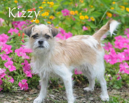 Kizzy