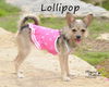 Lollipop
