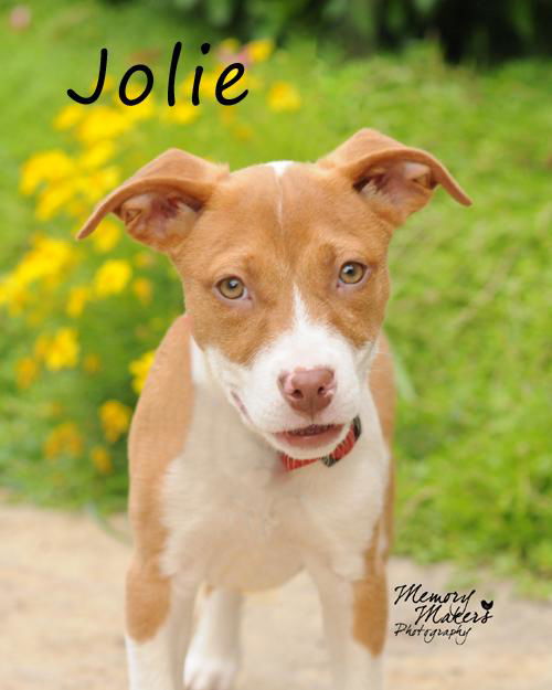 Jolie