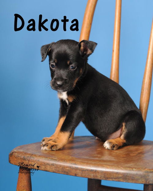 Dakota