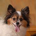 Lucy
