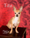 Tito