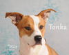 Tonka