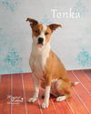 Tonka