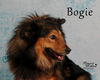 Bogie