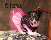 Athena