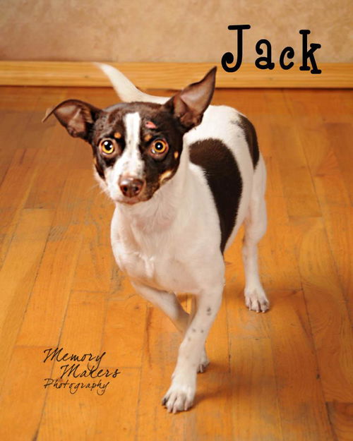 Jack