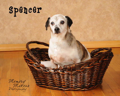 Spencer