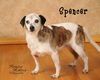 Spencer
