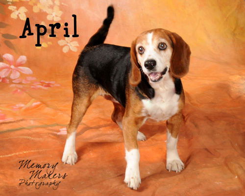 April