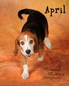 April