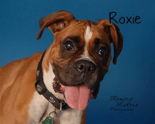 Roxie