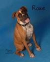 Roxie