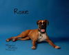 Roxie