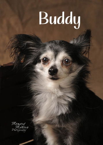Buddy #