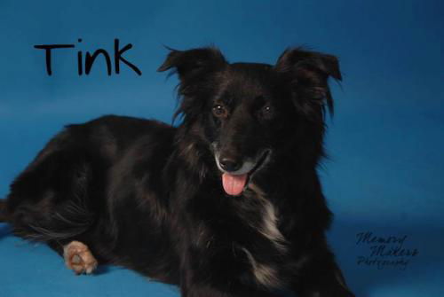 Tink