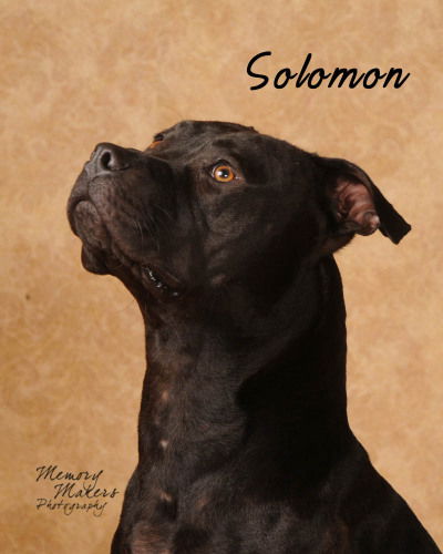 Solomon