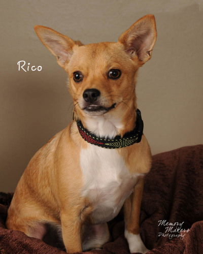 Rico