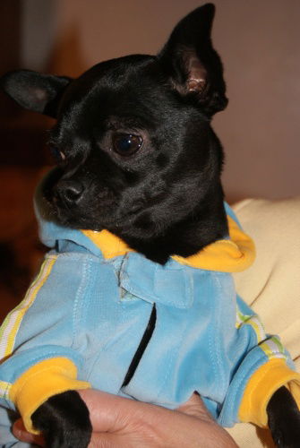 Fritz