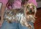 Mitzi