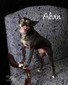 Alvin