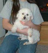 Mindy