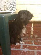 Tucker