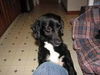 Tucker